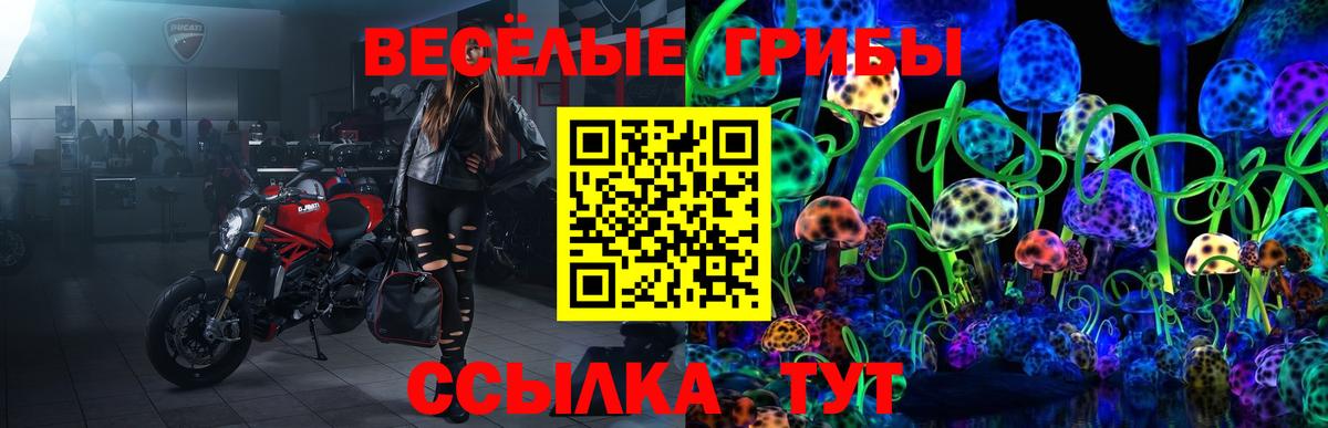 Псилоцибиновые грибы мицелий  Вход с VPN  Галлюциногенные грибы мухоморы  Трёхгорный 